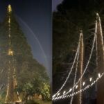 The Lighting of the Sequoias