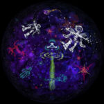 Star Map