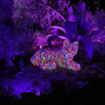 Glow Cats