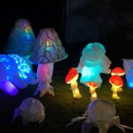 Not to Scale:  Mushrooms and Sea Rooms