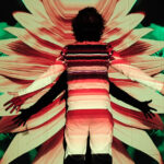 Phototaxis