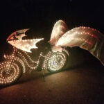 Illuminated Bike Ride