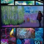 Coral Effect: A journey through influencing well being by human action