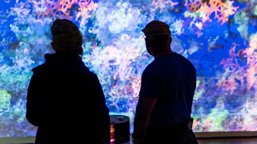 silhouette of two people viewing art insstallation projected onto wall