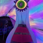 Roaming costumed creatures: Lucky Plucky the Cosmic Ducky at World Trade Center