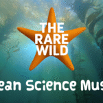 Live Music: Ocean Science Music by The Rare Wild at Glow Bar