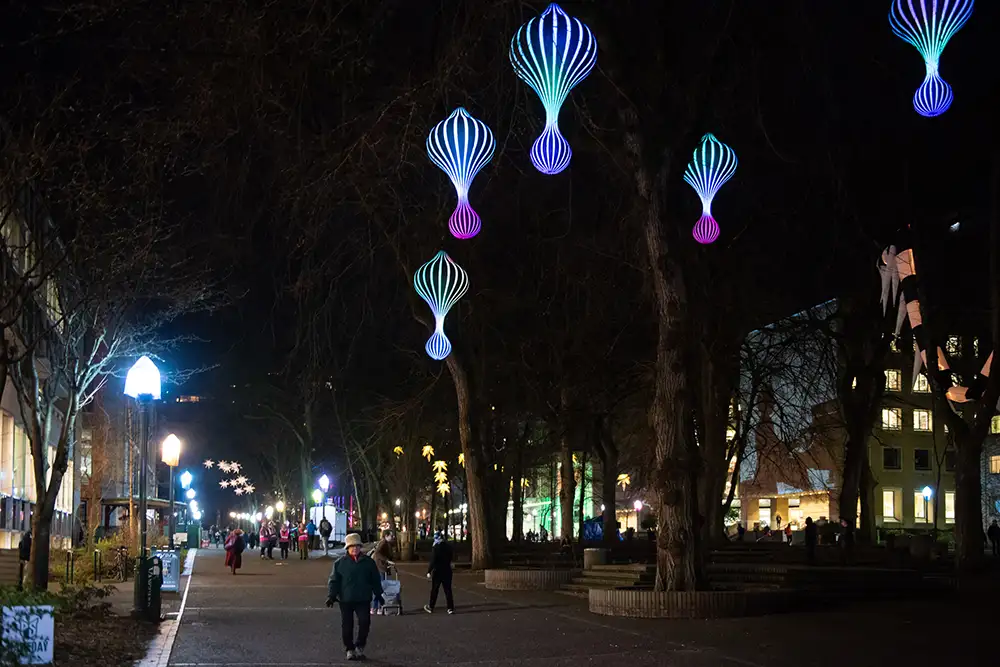 Illuminated art hangs from trees on Portland State University at night