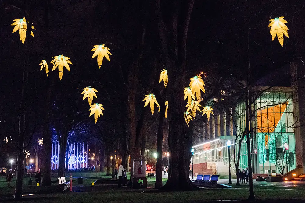 Illuminated leaves hang from trees on Portland State University at night