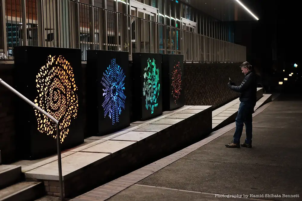 person takes photos of four illuminated public art pieces