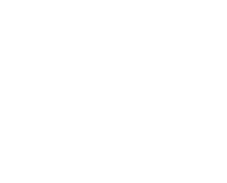 Cursive white graphic with copy reading Sentinel
