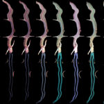 Fragments of Now