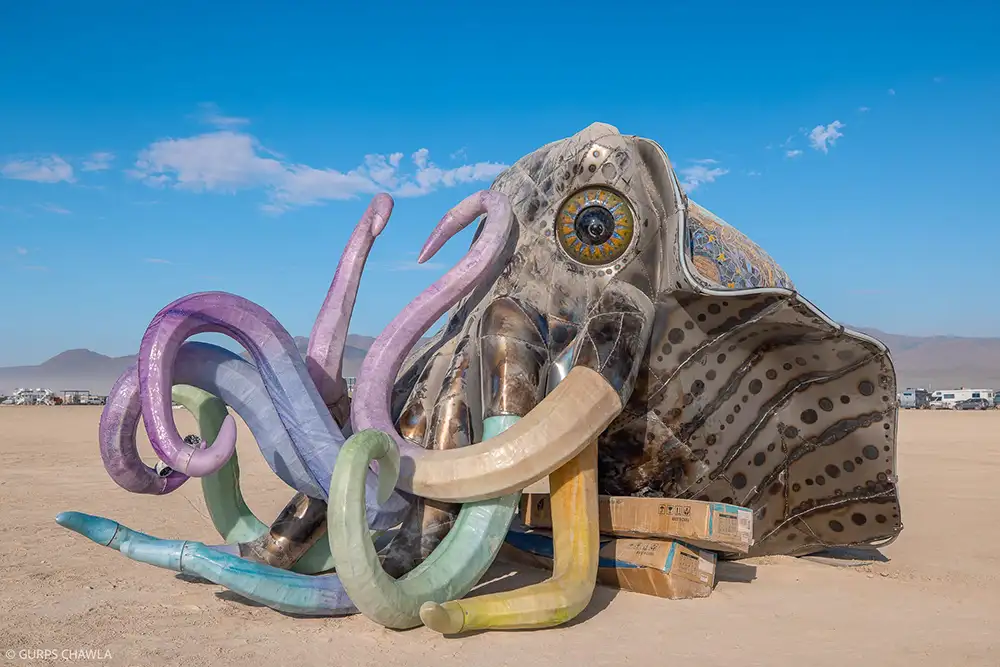 Cosmic Cuddle by Miki Masuhara-Page - Portland Winter Light Festival