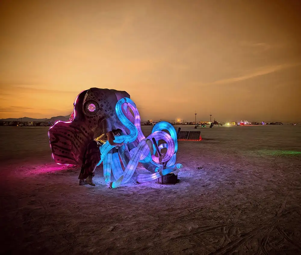 Cosmic Cuddle by Miki Masuhara-Page - Portland Winter Light Festival