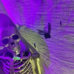 purple skull and skeleton